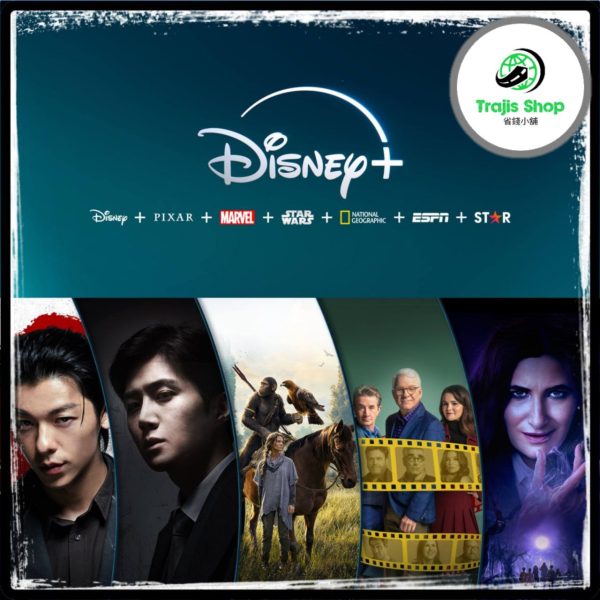 Disney+ 短期 共享帳號